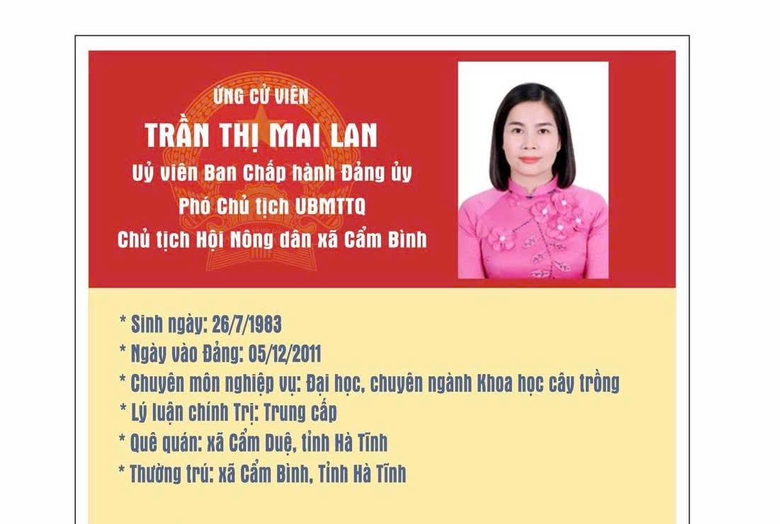 Tóm tắt tiểu sử Bà  Trần Thị Mai Lan – Uỷ viên Ban chấp hành Đảng uỷ, Phó Chủ tịch UBMTTQ - Chủ tịch Hội Nông dân xã Cẩm Bình.