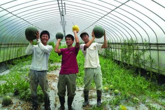 Thông báo về việc Tổ chức kỳ thi tiếng Hàn trong ngành Nông nghiệp và Ngư nghiệp