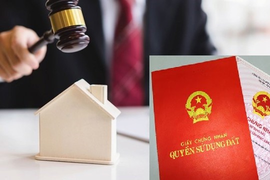 UBND xã Cẩm Bình Thông báo đấu giá đất đợt 2
