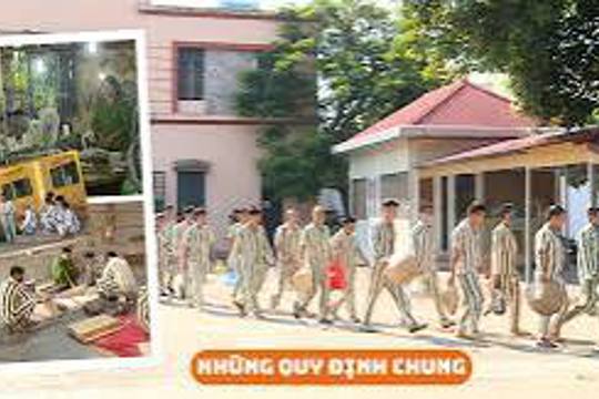 Kết quả việc chấp hành các quy định của pháp luật về thi hành án hình sự và tái hòa nhập cộng đồng 