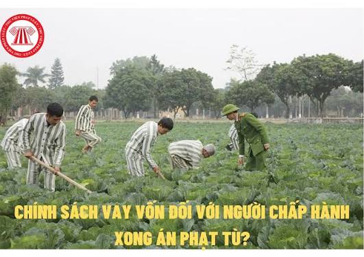 Quyết định sửa đổi một số điều của QĐ số 22/2023/QĐ-TTg về tín dụng đối với người chấp hành xong án phạt tù