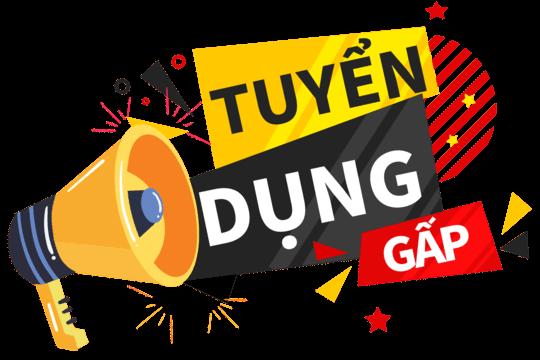 Trung tâm Giới thiệu việc làm Hà Tĩnh tuyển dụng tháng 6/2026 